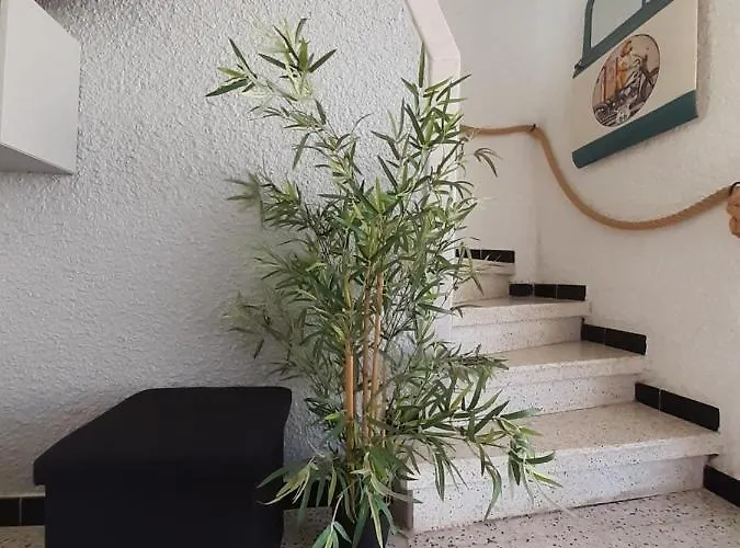 Maison De Ambiance Rock Et Zen